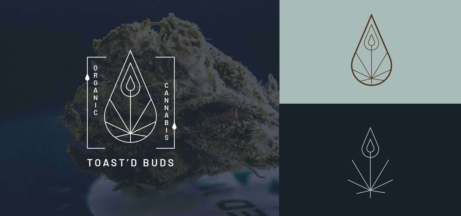 Cannabis Industry Logo Design